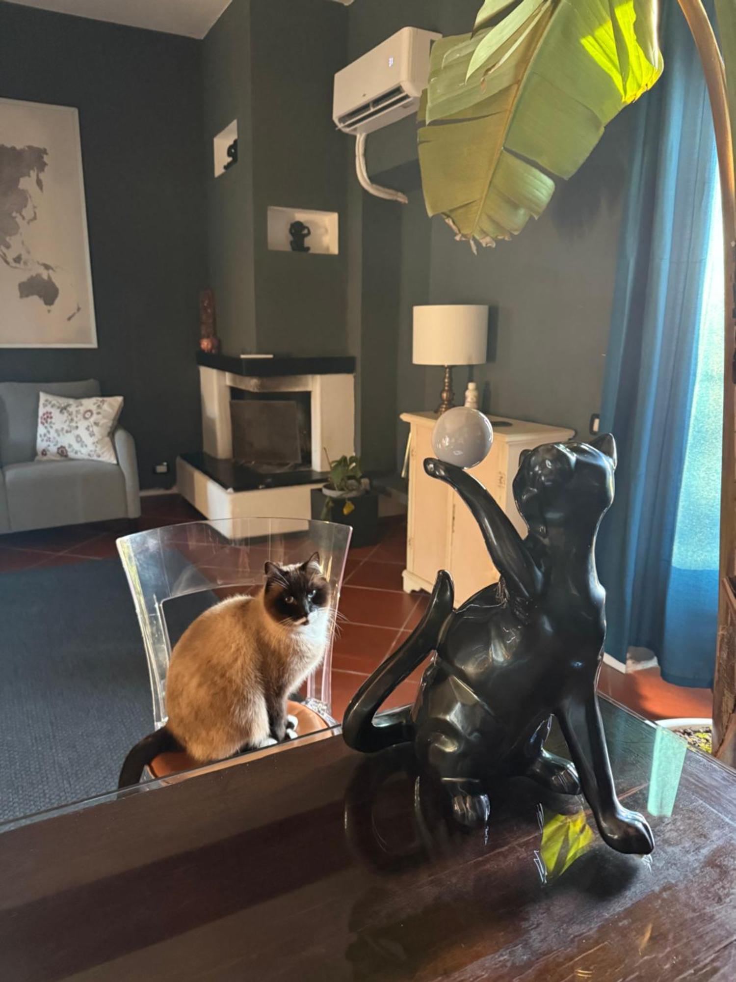 B&B Rio Grande 马萨罗萨 外观 照片